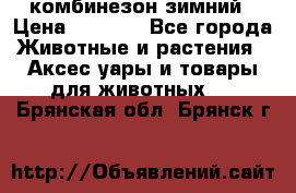 комбинезон зимний › Цена ­ 1 300 - Все города Животные и растения » Аксесcуары и товары для животных   . Брянская обл.,Брянск г.